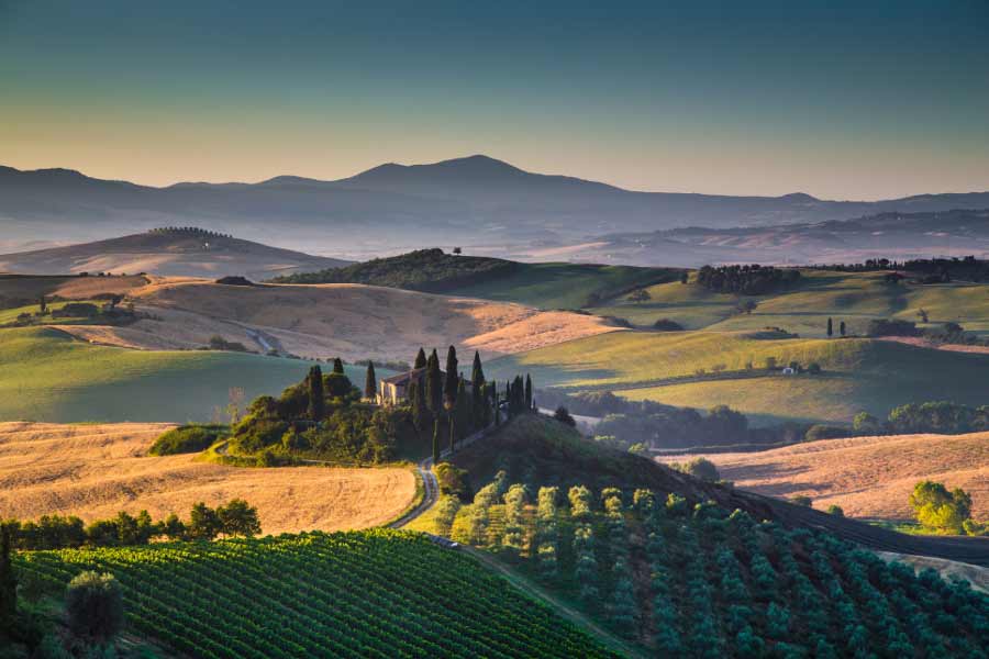 Florence Transfer with Sightseeing Option C: Southern Tuscany Sightseeing