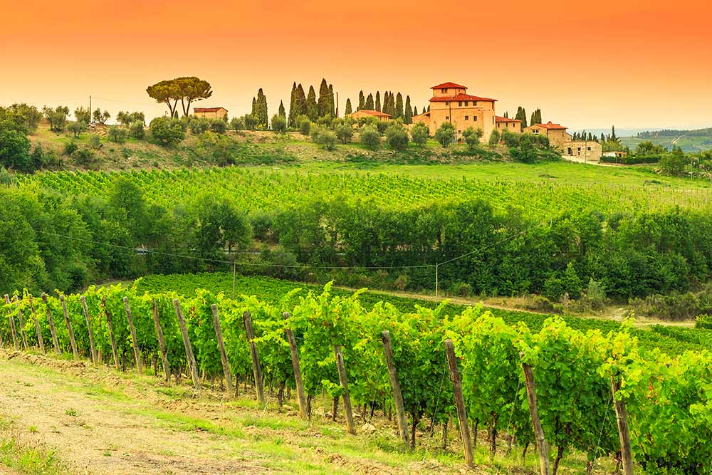 Rome Tours and Transfers Option A: Chianti Sightseeing