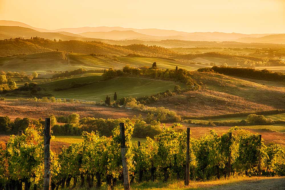 Florence Countryside Tours Absolute Italy