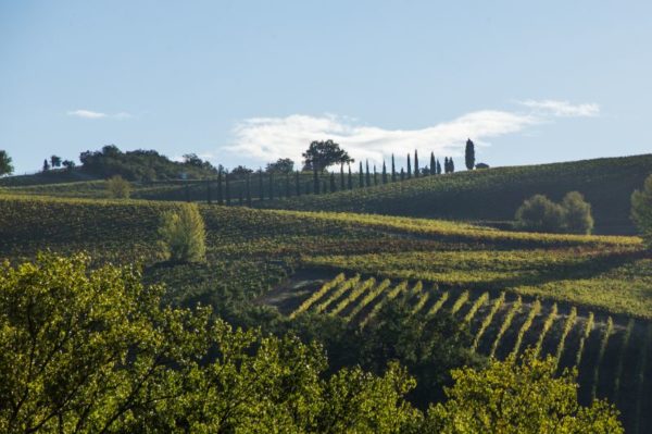 Florence Countryside Tours | Absolute Italy